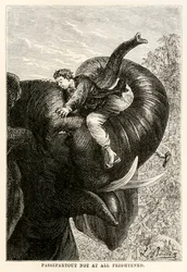 Passepartout inte alls rädd, från Around the World in Eighty Days av Jules Verne (1828-1905), 1873