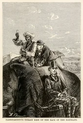 Passepartouts rider obehagligt på elefantens rygg, från Jorden runt på åttio dagar av Jules Verne (1828-1905) graverad av Adolphe François Pannemaker (1822-1900) 1873