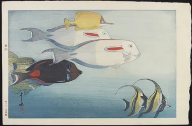 Honolulu Aquarium
