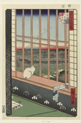Asakusa risfält och Torinomachi festival