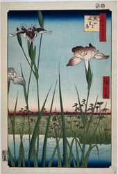 Iris i Horikiric Horikiri no hanashobu (titel på objekt) Hundra kända ansikten på Edo (serietitel) Meisho Edo hyakkei (serietitel på objekt)