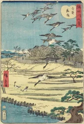 Söka gäss i Shirahige, november 1861