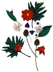 En blomma som får dig att föreställa dig julen.