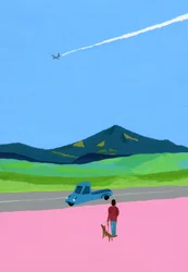 Flygplan och hämta lastbil och hund och äng