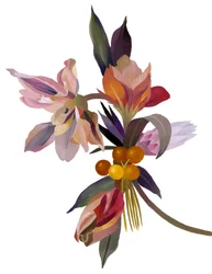 En imaginär blomma baserad på en tulpan.