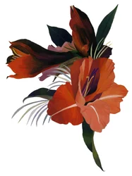 En imaginär blomma baserad på en amaryllis.