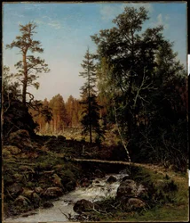 Ett skogslandskap från Hauho