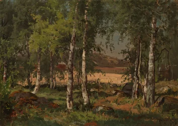 Landskap med björkdunge och rågfält