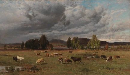 Betesmark i Häme