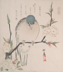 Spring Rain Collection Harusame shu, vol. 3: Mountain Dove and Peach Flowers, ca. 1820., ca. 1820.