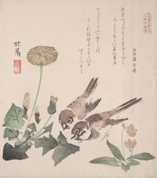Spring Rain Collection Harusame shu, vol. 3: Sparvar och maskrosor, ca. 1820., ca. 1820.
