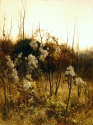 Resenärens glädje