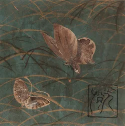 Fjärilar och gräs, Edo-perioden, tidigt 1600-tal.