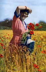Den engelska rosen, c1922
