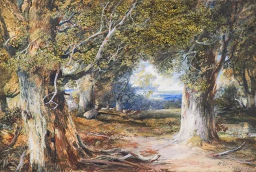 In the Wood (akvarell)