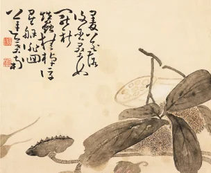 Målat albumblad - Lotusväxt, 1700-tal
