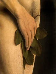 Detalj av Adam, från den vänstra flygeln av Gents altartavla