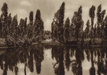 Mexiko: Xochimilco med de s.k. "flytande trädgårdarna" (svartvitt foto)