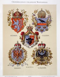 Vapensköldar från Österrike-Ungern, ur konstnärens „Heraldischer Atlas”, 1899