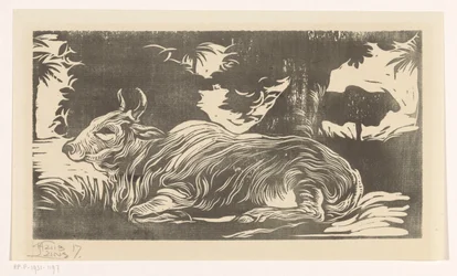 Liggande zebu