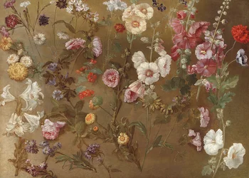 Sammansättning av blomstudier inklusive nejlikor, nålkuddsblommor, studsbett, malva; stockrosor, afrikansk ringblomma, förgätmigej