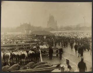 Angående händelser på Slaughterhouse: the stockyard
