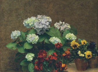 Blommor