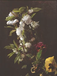Blommor, 1876