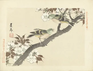 花の枝に 2 つの緑の鳥 桂年花鳥画（シリーズ名） 経年課長画譜 スウェーデン語