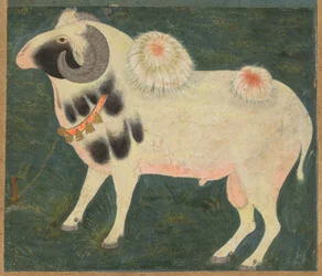 En kunglig bagge med guldkedja, ca. 1585 (ogenomskinlig akvarell & guld på papper)