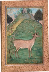 Buck in a Landscape, ca 1595 (ogenomskinlig wc & guld på papper)