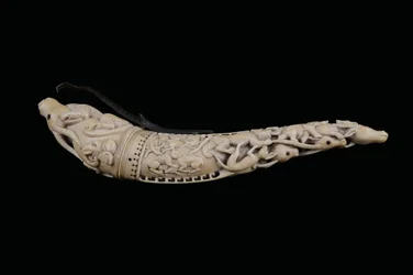 Ristat puderhorn, norra Indien