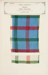 Färgat rutigt muslinprov från Arnee i Madras, från The Collection of the Textile Manufacturers of India, av John Forbes Watson, publicerad 1866