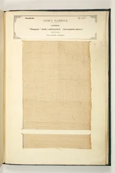 Dungary Cloth, Salem, Madras, från The Collection of the Textile Manufacturers of India, av John Forbes Watson, publicerad 1866