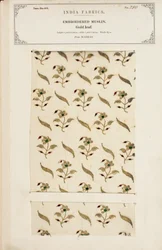 Broderat muslinprov från Madras, från The Collection of the Textile Manufacturers of India, av John Forbes Watson, publicerad 1866