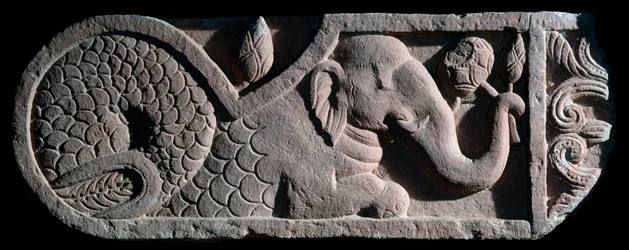 Elefant med fiskstjärt