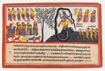 Krishna Conquers the Serpent Kaliya, sida från en Dispersed Bhagavata Purana Series, c.1775 (ogenomskinlig wc & guld på papper)