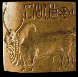 Sigill med zebutjur och Indusskrift funnet i Mohenjo-Daro, Indusdalen, 3:e årtusendet f.Kr.