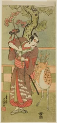 Skådespelaren Ichikawa Yaozo II som Goi no Sho Munesada med en hjort, i pjäsen Kuni no Hana Ono no Itsumoji (Japans blomma: Ono no Komachis fem karaktärer), uppförd på Nakamura-teatern från den första dagen i den elfte månaden 1771