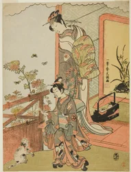 Tea c and r Dr. Matsusuke Onoe Som en tiger på stranden (?)