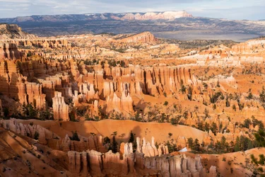 Hoodoos - spiror skapade av erosion - i Bryce Canyon nationalpark i Utah, 2019