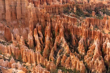 Hoodoos - spiror skapade av erosion - i Bryce Canyon nationalpark i Utah, 2019