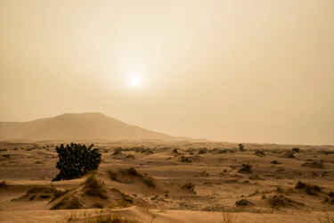 Sanddyner i Erg Chebbi-öknen i sydöstra Marocko, 2014 (foto)