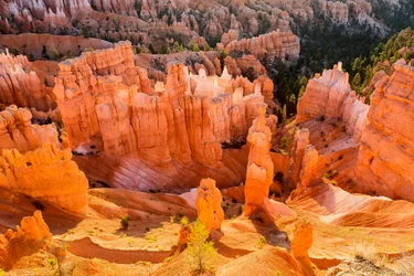 Soluppgång på Hoodoos i Bryce Canyon National Park, 2012 (foto)