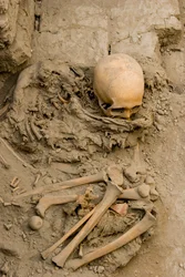 Den offrade kvinnan i begravningen med te mummu-bunt i Huaca El Brujo, 2005 (foto)