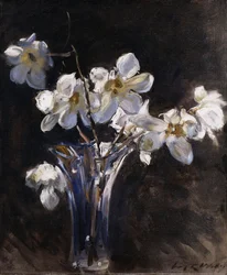 Magnolior i en vas