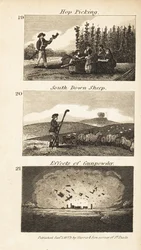 Handlar i Regency England
