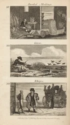 Handlar i Regency England: korgtillverkning, gässplockning och piskor