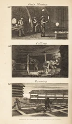 Handlar i Regency England: glasblåsning, colliery och garvning