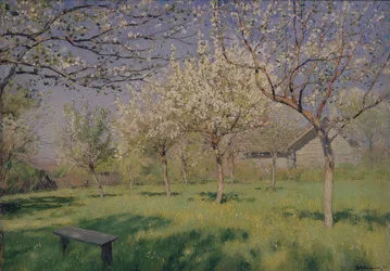 Äppelträd som blommar, ca. 1895